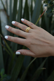 Pelegrin Anillo Oro