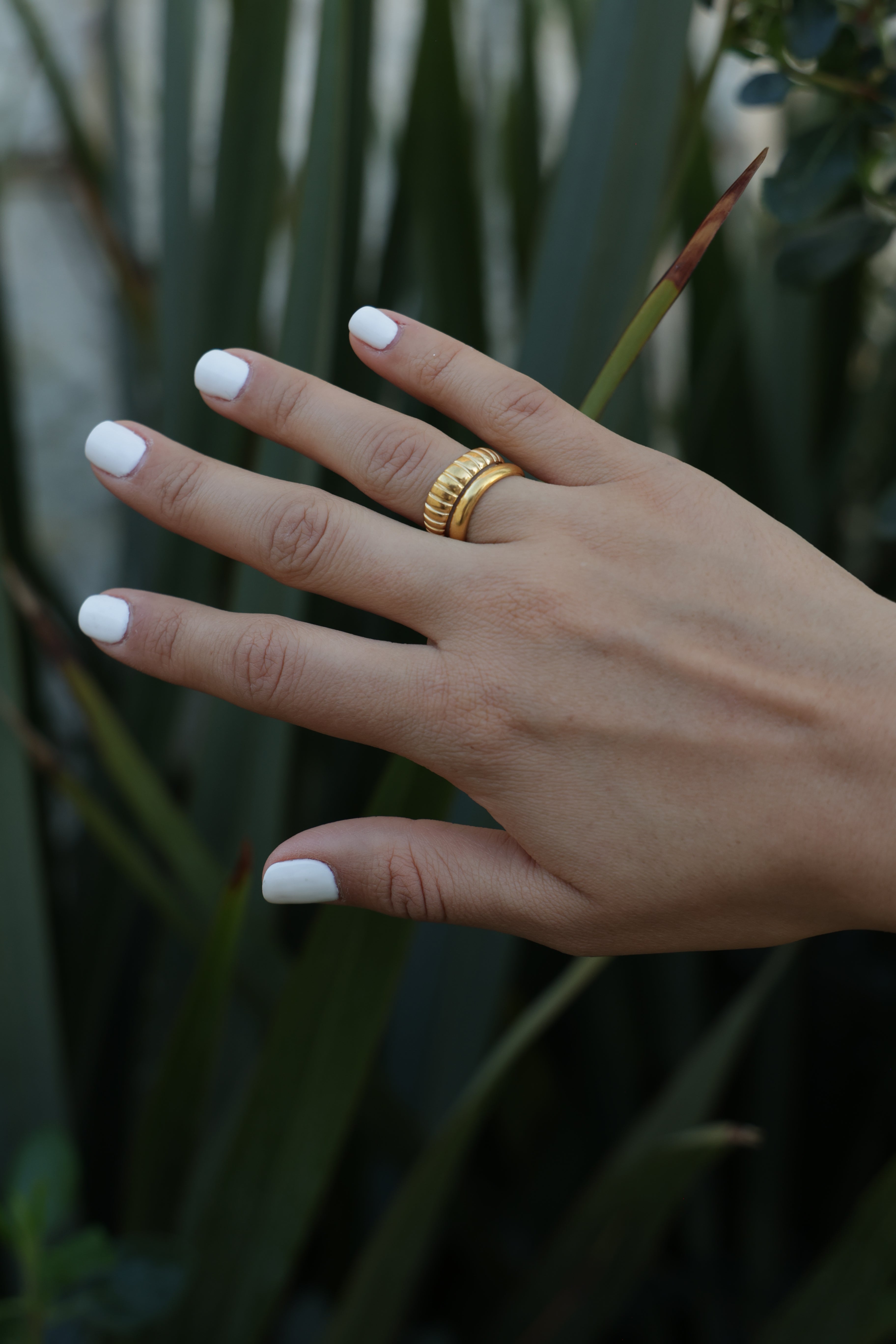 Pelegrin Anillo Oro